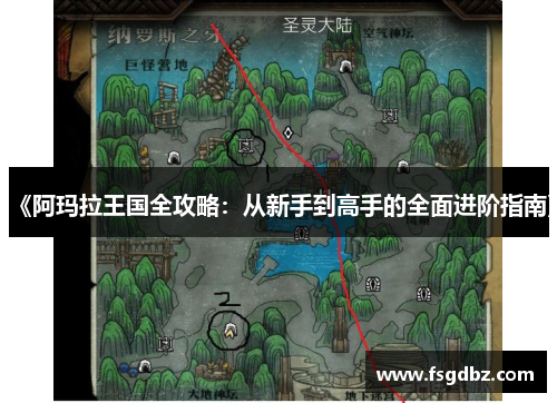 《阿玛拉王国全攻略：从新手到高手的全面进阶指南》