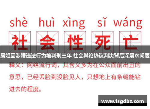 房姐因涉嫌违法行为被判刑三年 社会舆论热议判决背后深层次问题