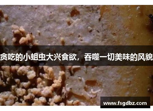 贪吃的小蛆虫大兴食欲，吞噬一切美味的风貌